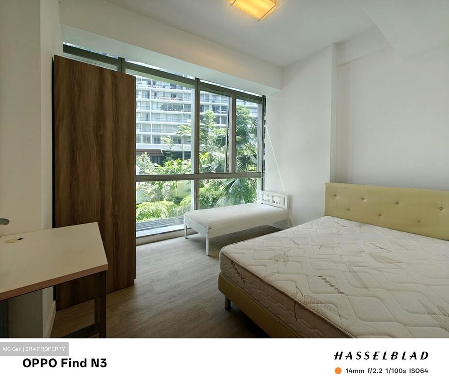 The Light @ Cairnhill (D9), Condominium #455278711